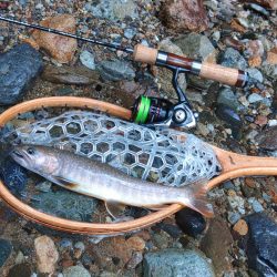 増水の谷でイワナ釣り